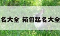 箱包起名大全 箱包起名大全四个字