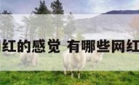 有没有网红的感觉 有哪些网红比较出名