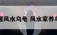 家居风水乌龟 风水家养乌龟