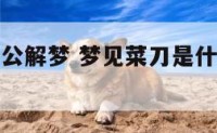 梦见菜刀周公解梦 梦见菜刀是什么意思有什么预兆