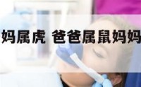 爸爸属鼠妈妈属虎 爸爸属鼠妈妈属虎宝宝属马相克吗