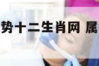 属猪人每天运势十二生肖网 属猪人这几天运气怎么样?