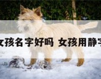 静字取名女孩名字好吗 女孩用静字取名含义