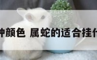 属蛇挂钟颜色 属蛇的适合挂什么挂件