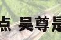 吴尊性格特点 吴尊是个怎样的人