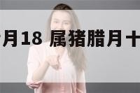 19年属猪腊月18 属猪腊月十八出生命运如何
