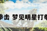 梦见明星打拳击 梦见明星打拳击什么预兆