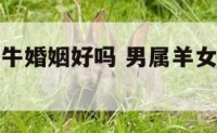 男属羊女属牛婚姻好吗 男属羊女属牛婚姻是否相配