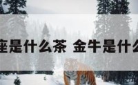 金牛座是什么茶 金牛是什么饮品