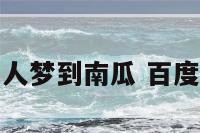 找工作的人梦到南瓜 百度梦见南瓜