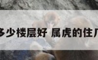 属虎住多少楼层好 属虎的住几楼合适