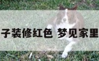 梦见家里房子装修红色 梦见家里正装修房子