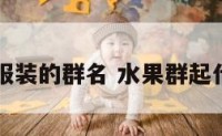 水果和服装的群名 水果群起什么群名