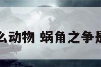 蜗角形容什么动物 蜗角之争是指什么生肖