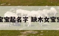 缺木的女宝宝起名字 缺木女宝宝取名大全