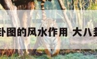 大及八卦图的风水作用 大八卦图图片