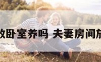 夫妻花能放卧室养吗 夫妻房间放什么花好