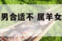 属羊女找属龙男合适不 属羊女找属龙男合适不合适