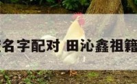 田沁沂查名字配对 田沁鑫祖籍是哪里的