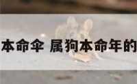 属狗本命伞 属狗本命年的大忌