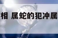 属蛇的犯冲属相 属蛇的犯冲属相身上带啥不犯冲
