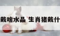 属猪的戴啥水晶 生肖猪戴什么水晶