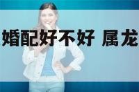 属龙的和属虎婚配好不好 属龙和属虎的婚姻合不合