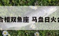 日火合相双鱼座 马盘日火合双鱼