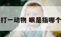 眠字打一动物 眠是指哪个生肖