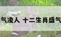 十二生肖盛气凌人 十二生肖盛气凌人是什么