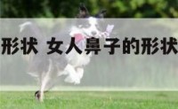 女人鼻子的形状 女人鼻子的形状与性格命运的关系
