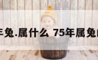 75年兔.属什么 75年属兔的是