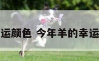 今年羊的幸运颜色 今年羊的幸运颜色是什么