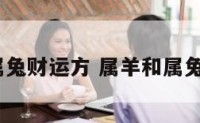 属羊和属兔财运方 属羊和属兔和财吗?