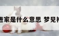 梦见神仙进家是什么意思 梦见神仙来家里
