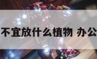 办公室财位不宜放什么植物 办公室财位摆件