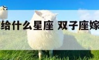 双子座会嫁给什么星座 双子座嫁得最多的星座
