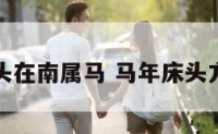 床头在南属马 马年床头方向