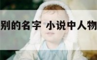 小说人物特别的名字 小说中人物名字的含义和作用