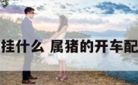 属猪开车挂什么 属猪的开车配什么装饰