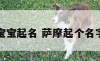 萨摩宝宝起名 萨摩起个名字大全
