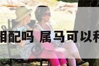 属马能与兔相配吗 属马可以和属兔相配吗