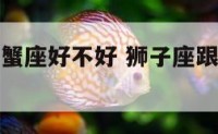 狮子座跟巨蟹座好不好 狮子座跟巨蟹座好不好谈恋爱