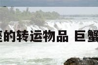 2019巨蟹座的转运物品 巨蟹座转运头像