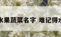 难记的水果蔬菜名字 难记得水果名字