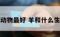 羊和什么动物最好 羊和什么生肖最搭配
