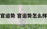 官运势 官运势怎么样