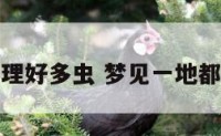 梦见地理好多虫 梦见一地都是虫子
