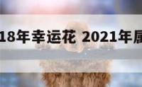 属鸡2018年幸运花 2021年属鸡的幸运植物