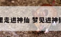 梦里走进神仙 梦见进神仙洞